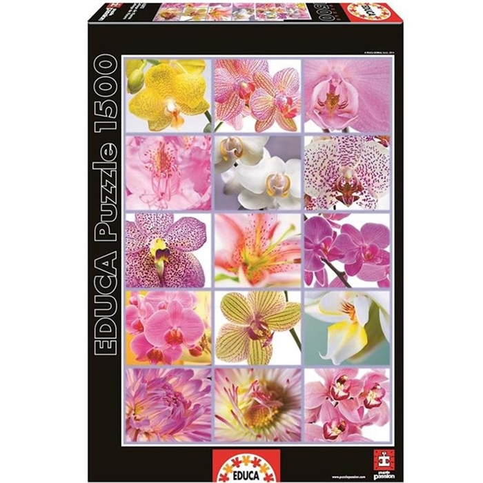 Educa 1500 Parça Puzzle Collage of Flowers