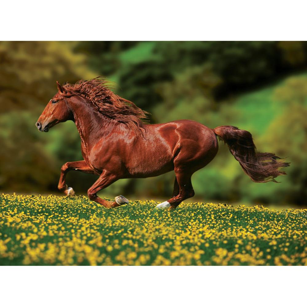 Anatolian 1000 Parça Puzzle Özgürlük