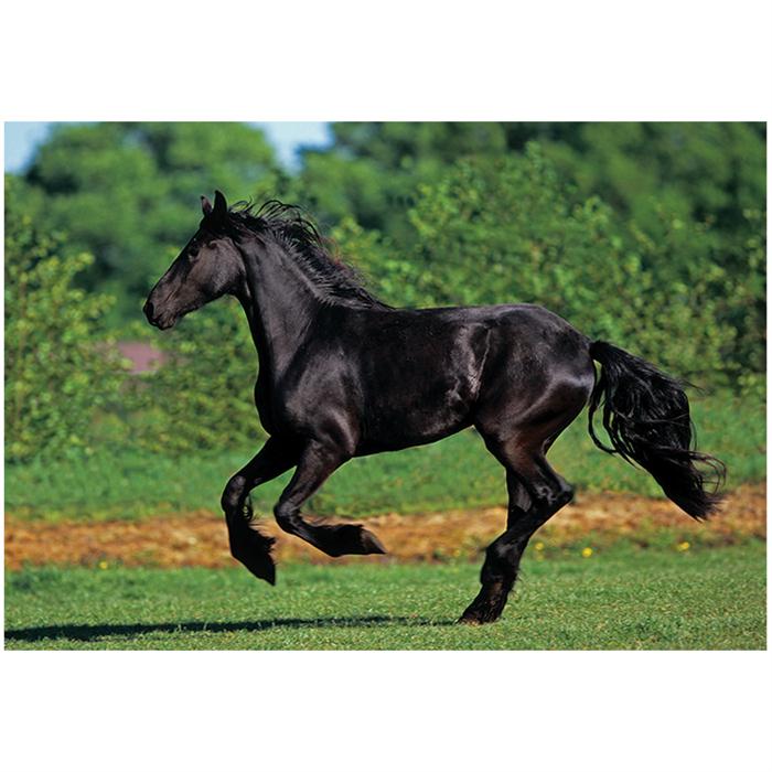 Anatolian 500 Parça Puzzle Dört Nala