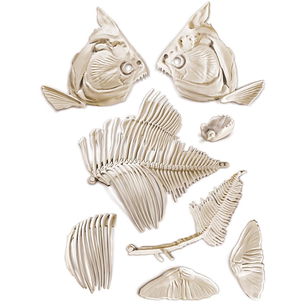 Clementoni Arkeolojik Kazı Seti Piranha