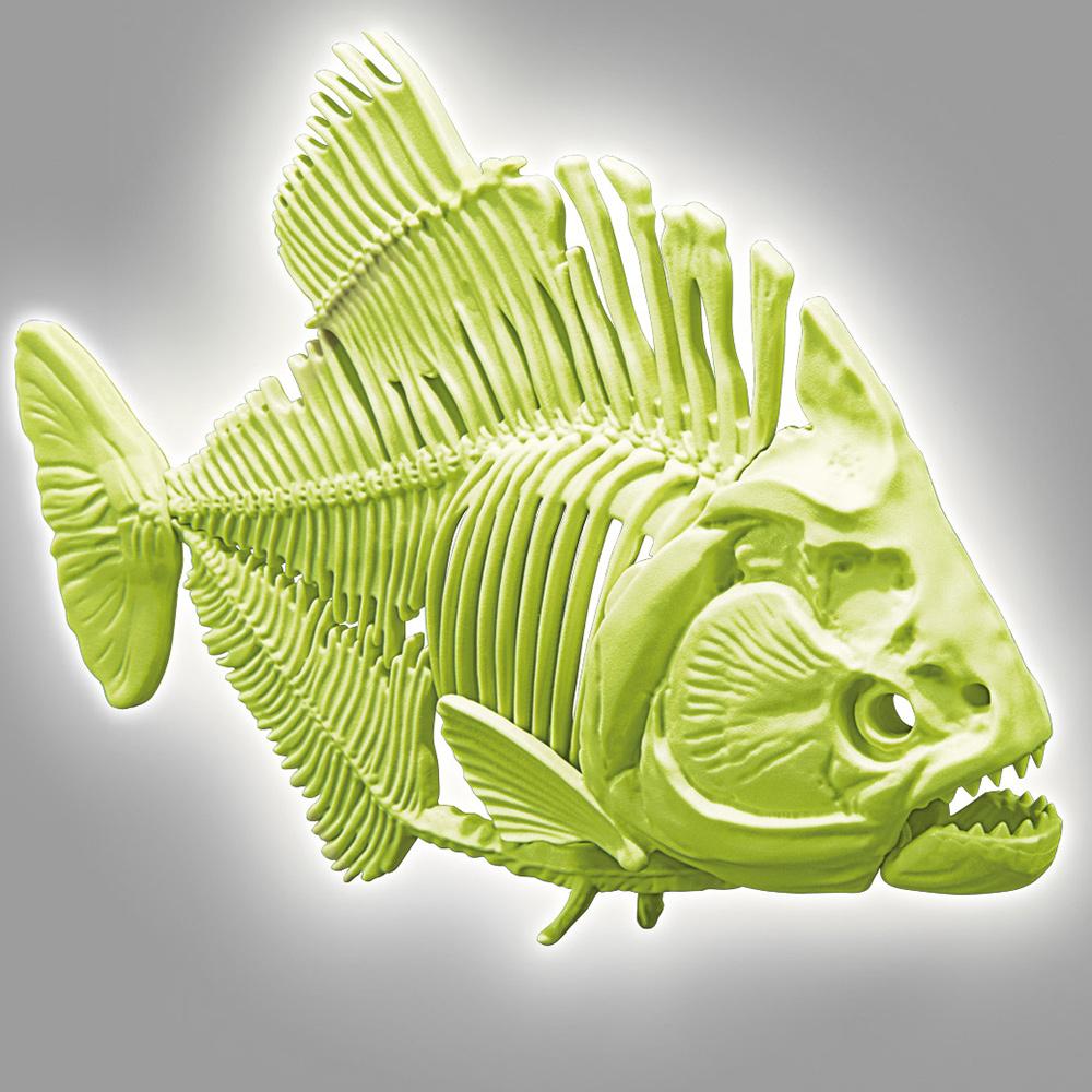 Clementoni Arkeolojik Kazı Seti Piranha