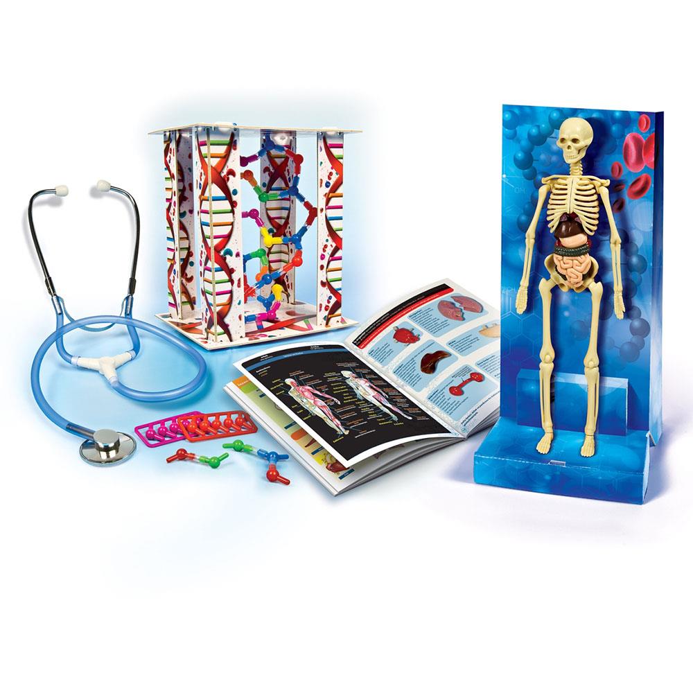 Clementoni Deney Seti İnsan Vücudu