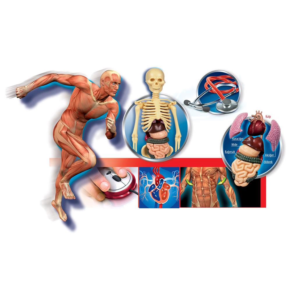 Clementoni Deney Seti İnsan Vücudu