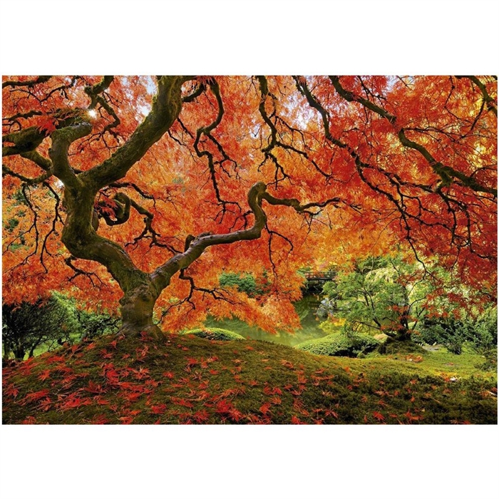Educa 1500 Parça Puzzle Japanese Garden | Locopoco Oyuncak
