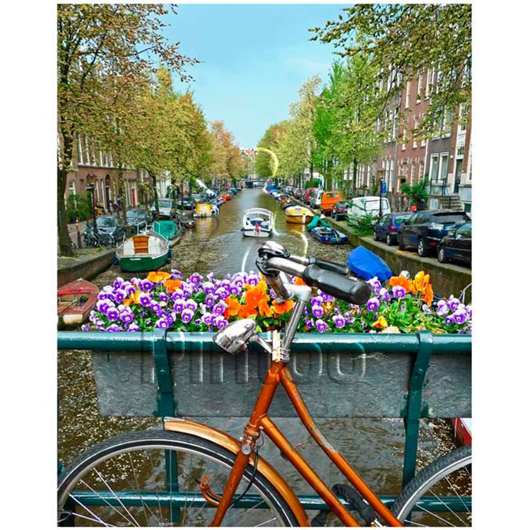 Pintoo 500 Parça Puzzle Amsterdam