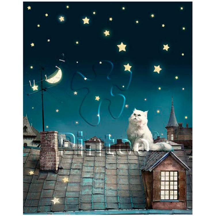 Pintoo 500 Parça Puzzle Çatıda Keyif