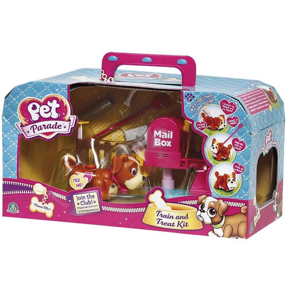 Pet Club Parade Posta Kutusu Oyun Seti