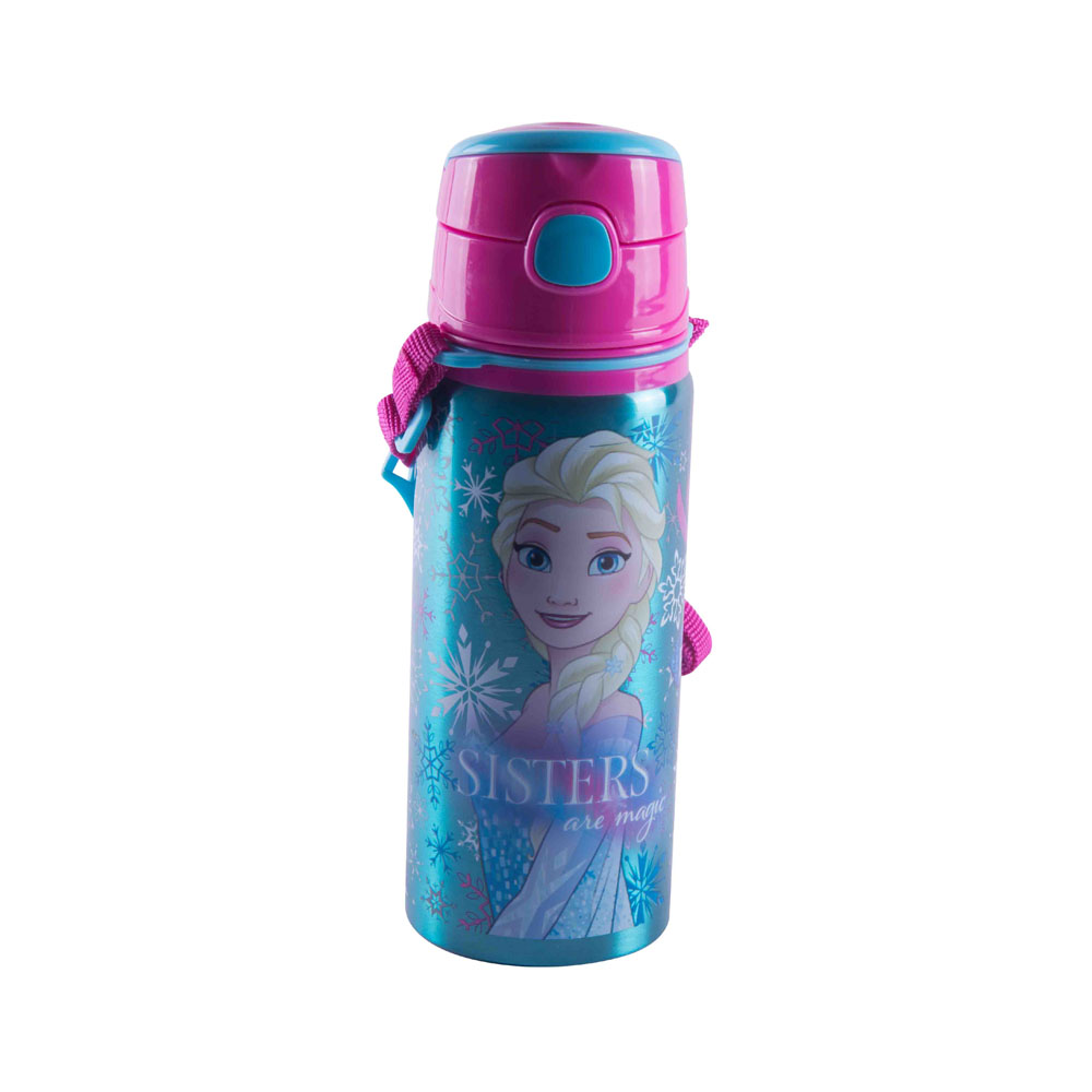 Frozen Çelik Matara 78584