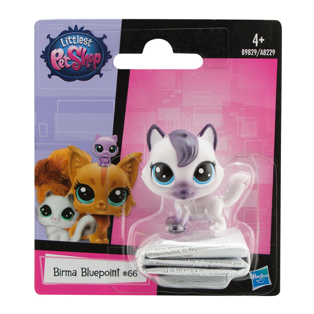 Petshop Tekli Minişler Birma Bluepoint