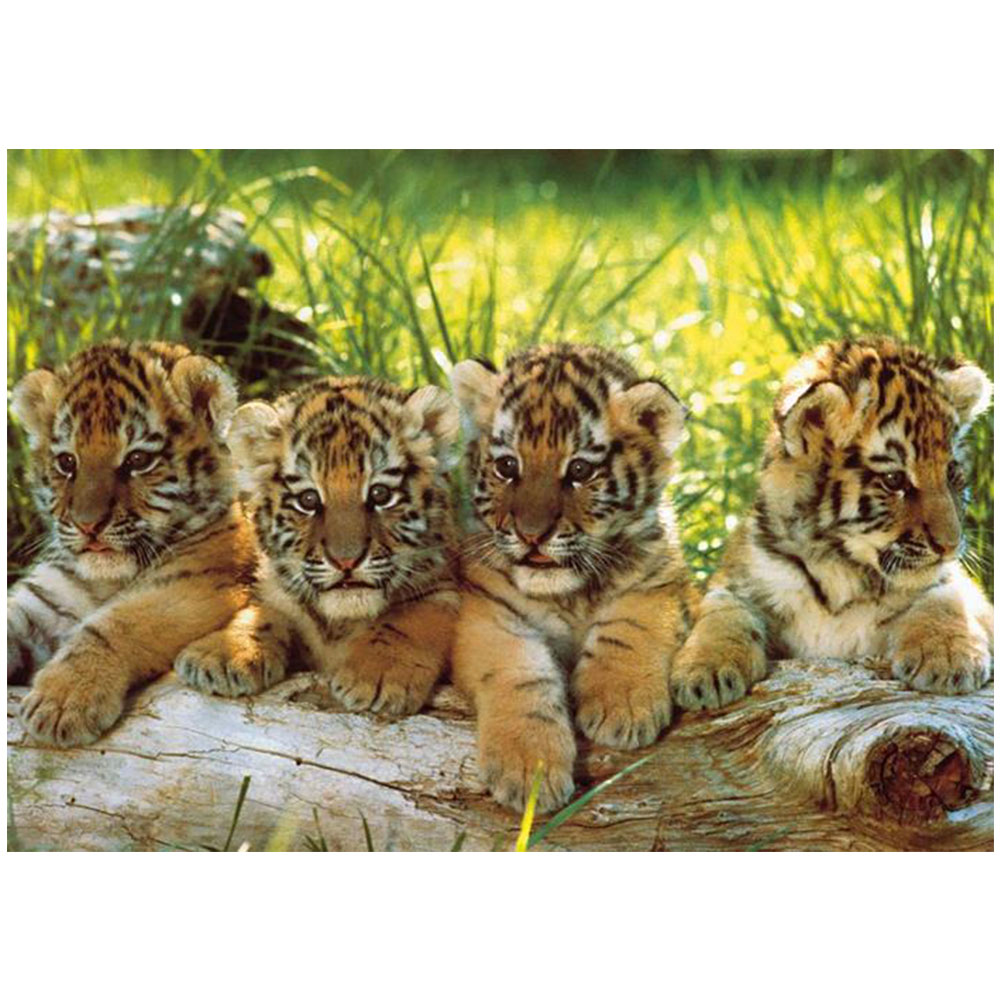 KS Puzzle Four Tigers 200 Parça