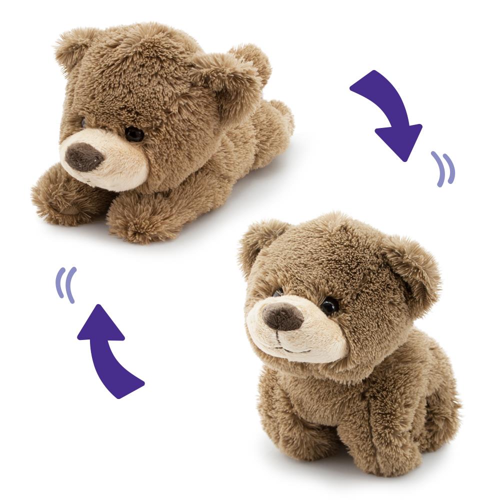 Zookiez Sarılan Ayı