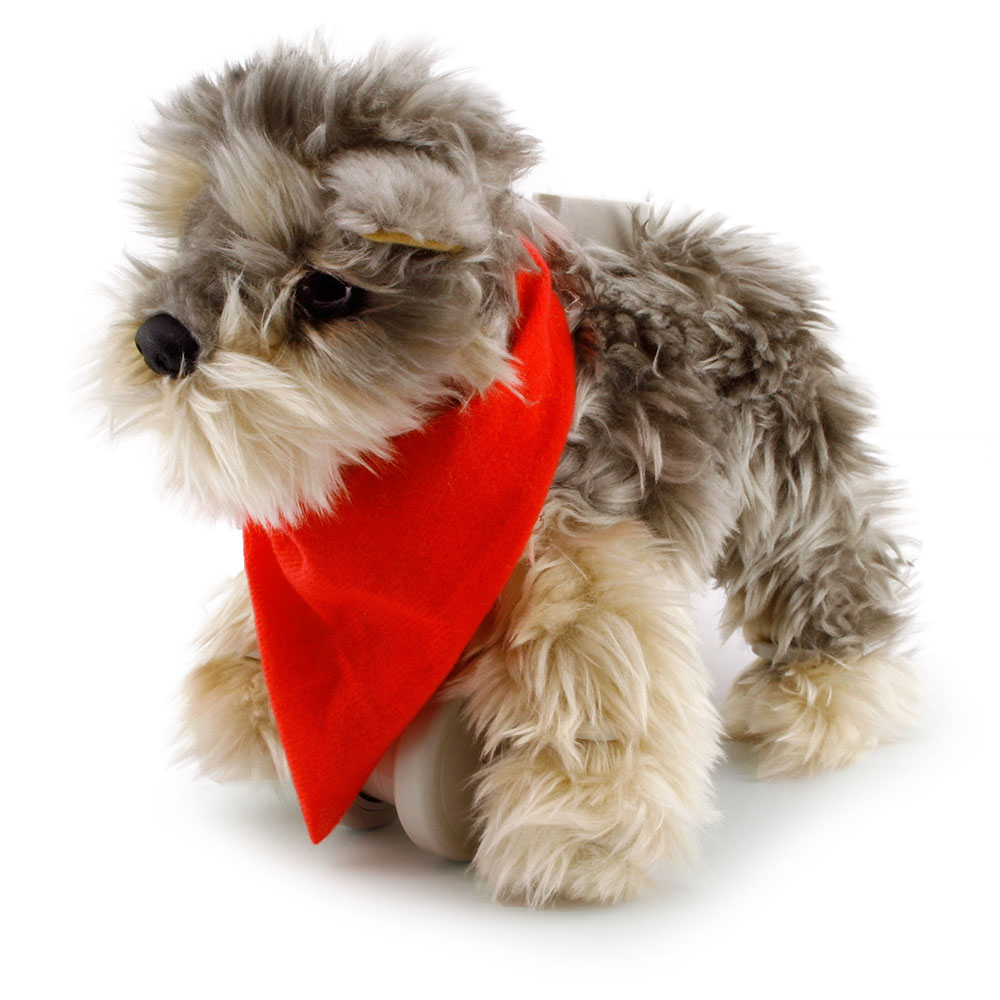 My Puppy Parade Yürüyen Köpeğim Tanner