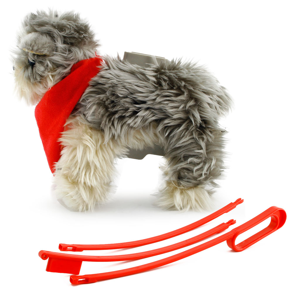 My Puppy Parade Yürüyen Köpeğim Tanner