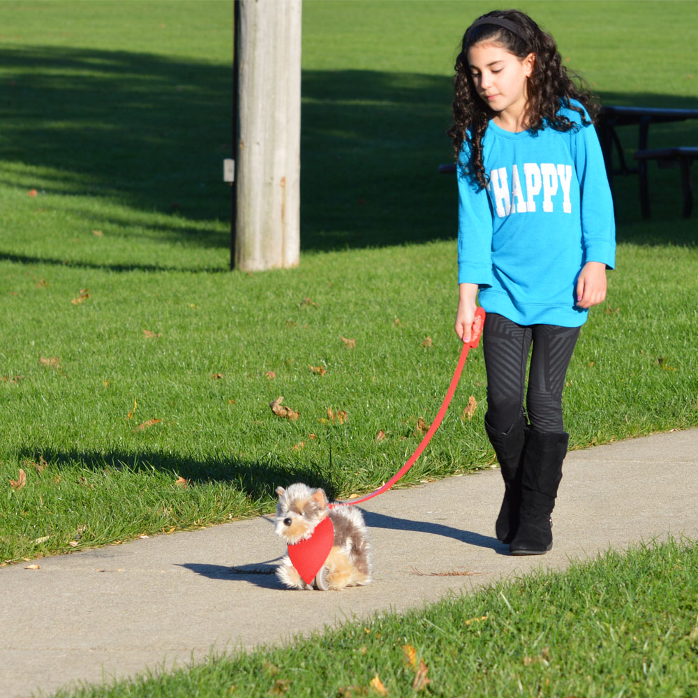 My Puppy Parade Yürüyen Köpeğim Tanner