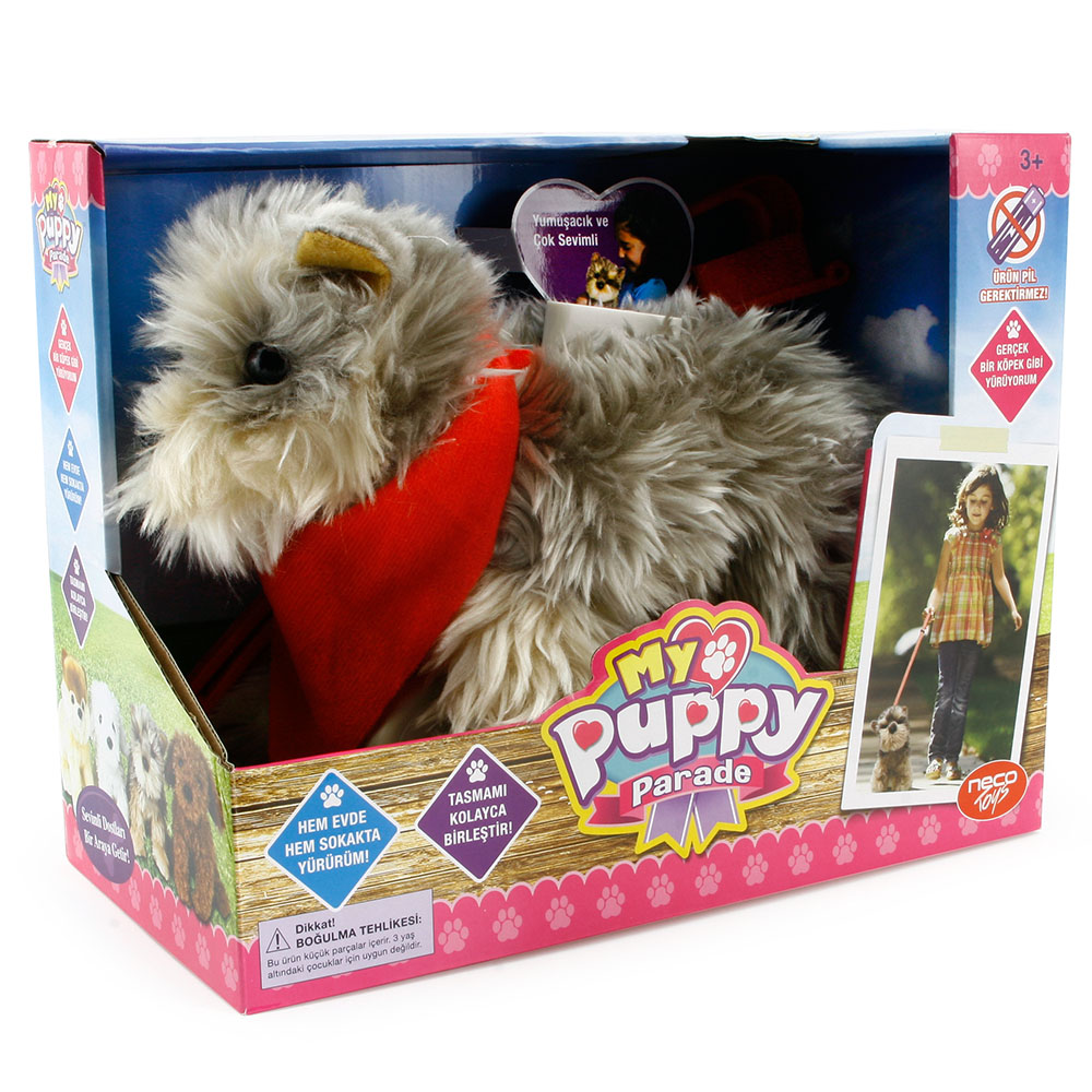 My Puppy Parade Yürüyen Köpeğim Tanner