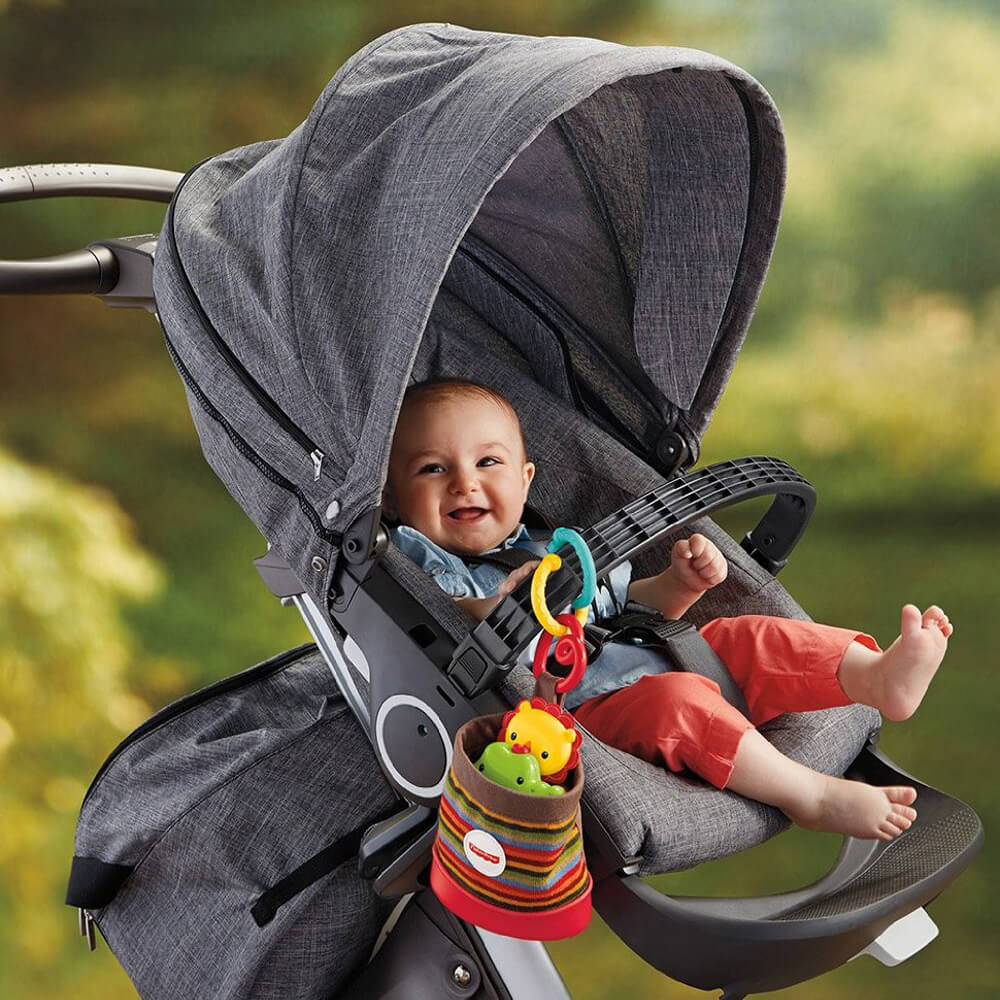 Fisher-Price Çantalı Çıngırak Seti