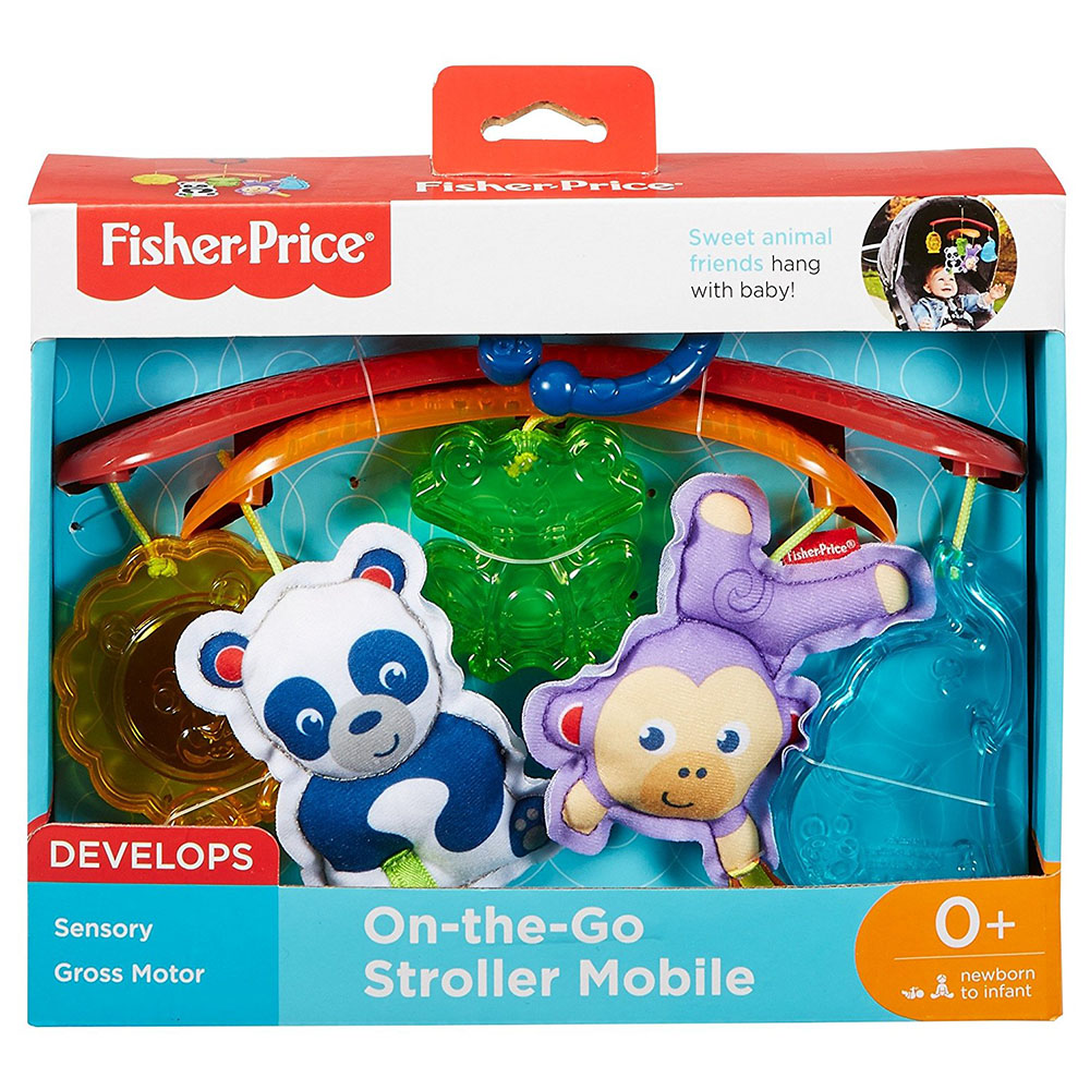 Fisher Price Mini Dönence DYW54