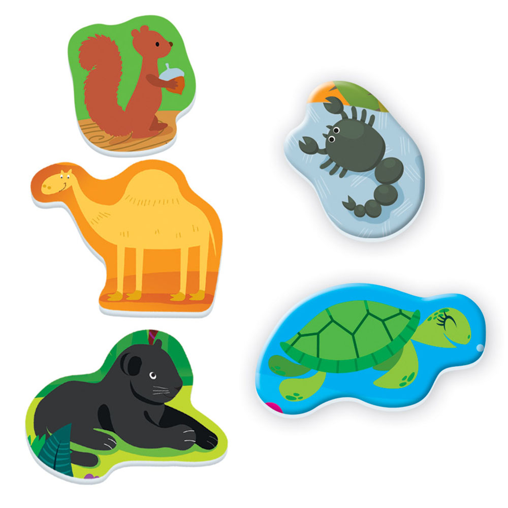 Clementoni Oyna ve Öğren Nerede Yaşarlar?