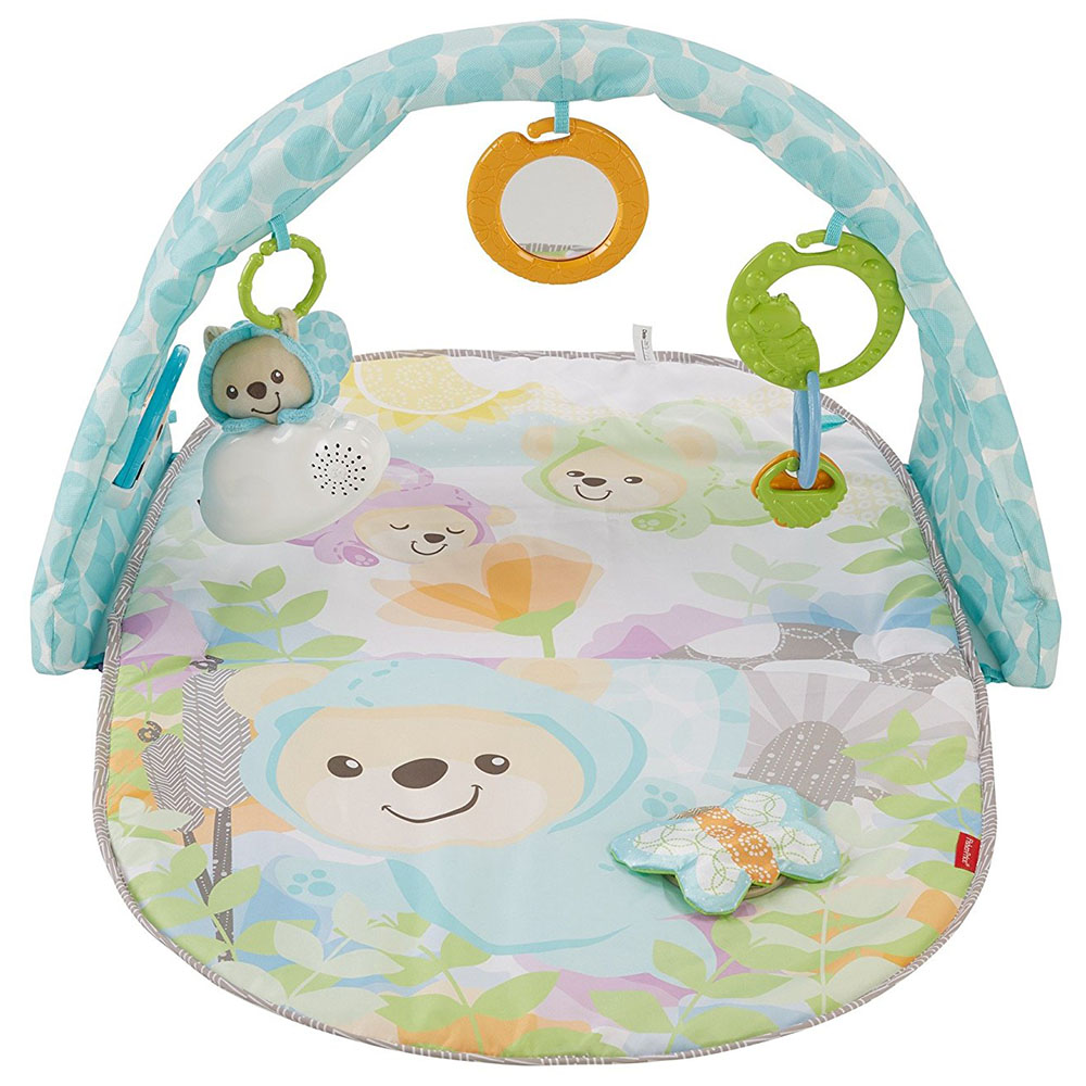 Fisher Price Kelebekli Rüyalar Müzikli Jimnastik Merkezi