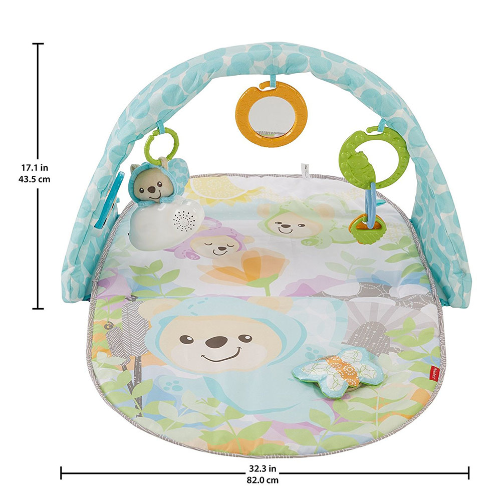 Fisher Price Kelebekli Rüyalar Müzikli Jimnastik Merkezi