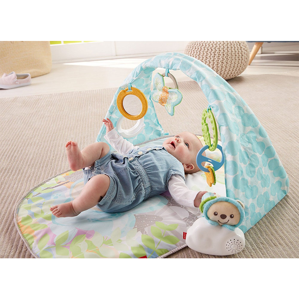 Fisher Price Kelebekli Rüyalar Müzikli Jimnastik Merkezi