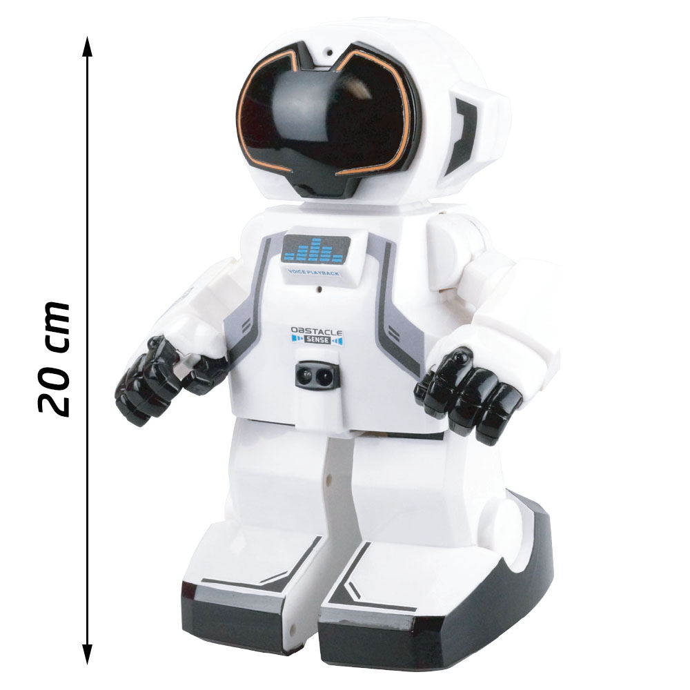 Silverlit Echo-Bot Robot