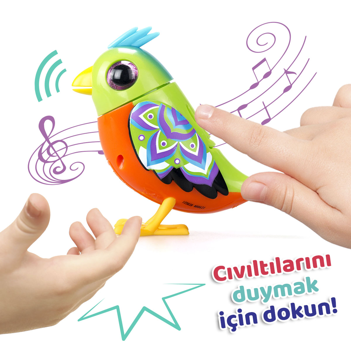 Digibirds Tekli Paket Seri 2 - Model 2