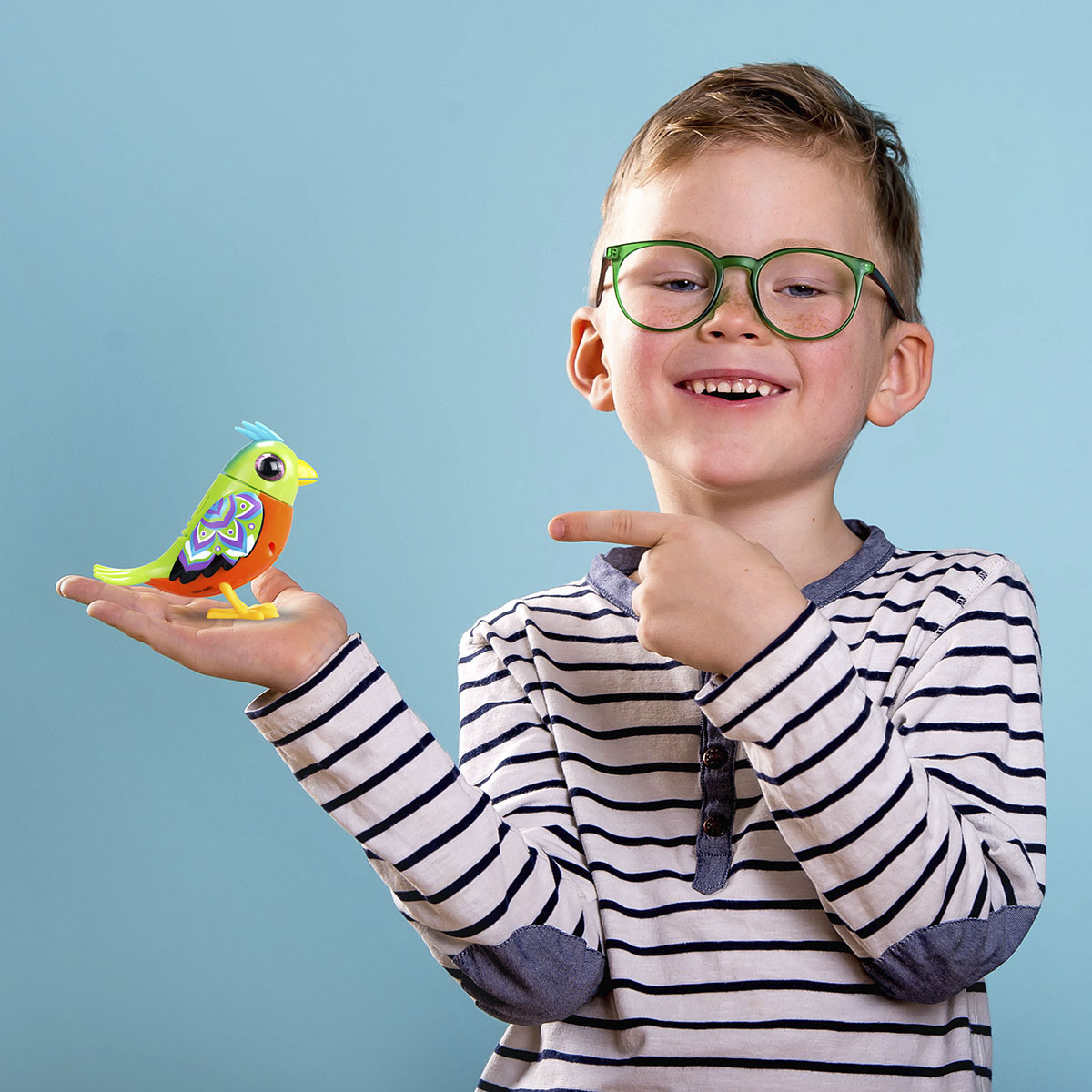 Digibirds Tekli Paket Seri 2 - Model 2