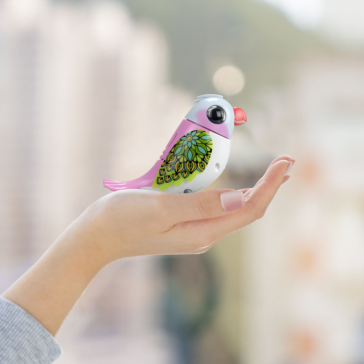 Digibirds Tekli Paket Seri 2 - Model 3