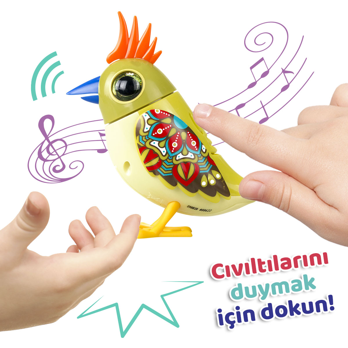 Digibirds Tekli Paket Seri 2 - Model 4