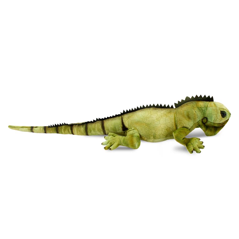 İguana 66 cm