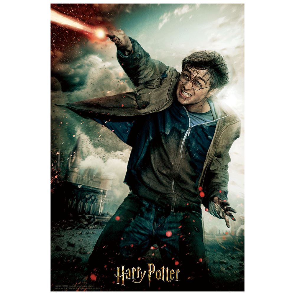 Prime 3D Harry Potter Puzzle 300 Parça 33006
