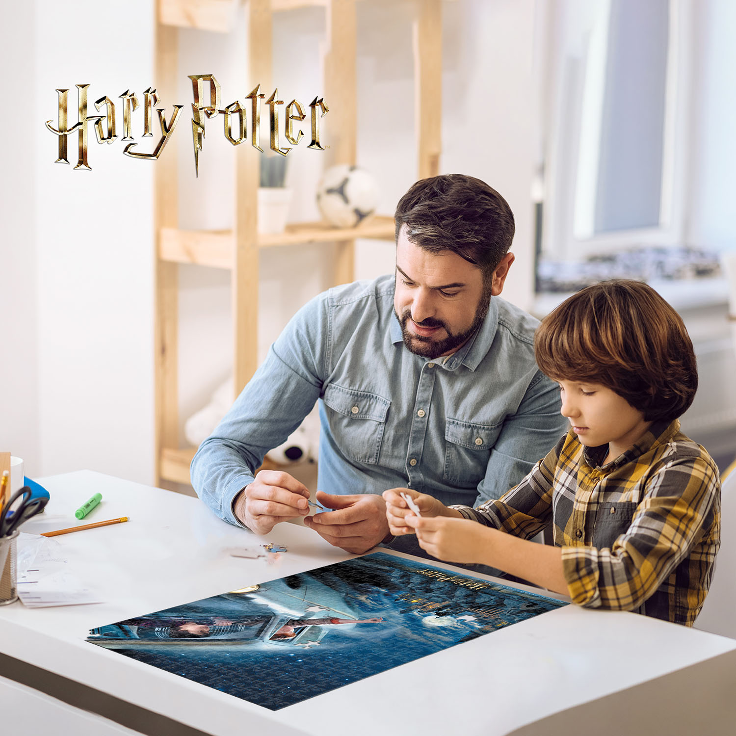 Prime 3D Harry Potter Puzzle 300 Parça 33011
