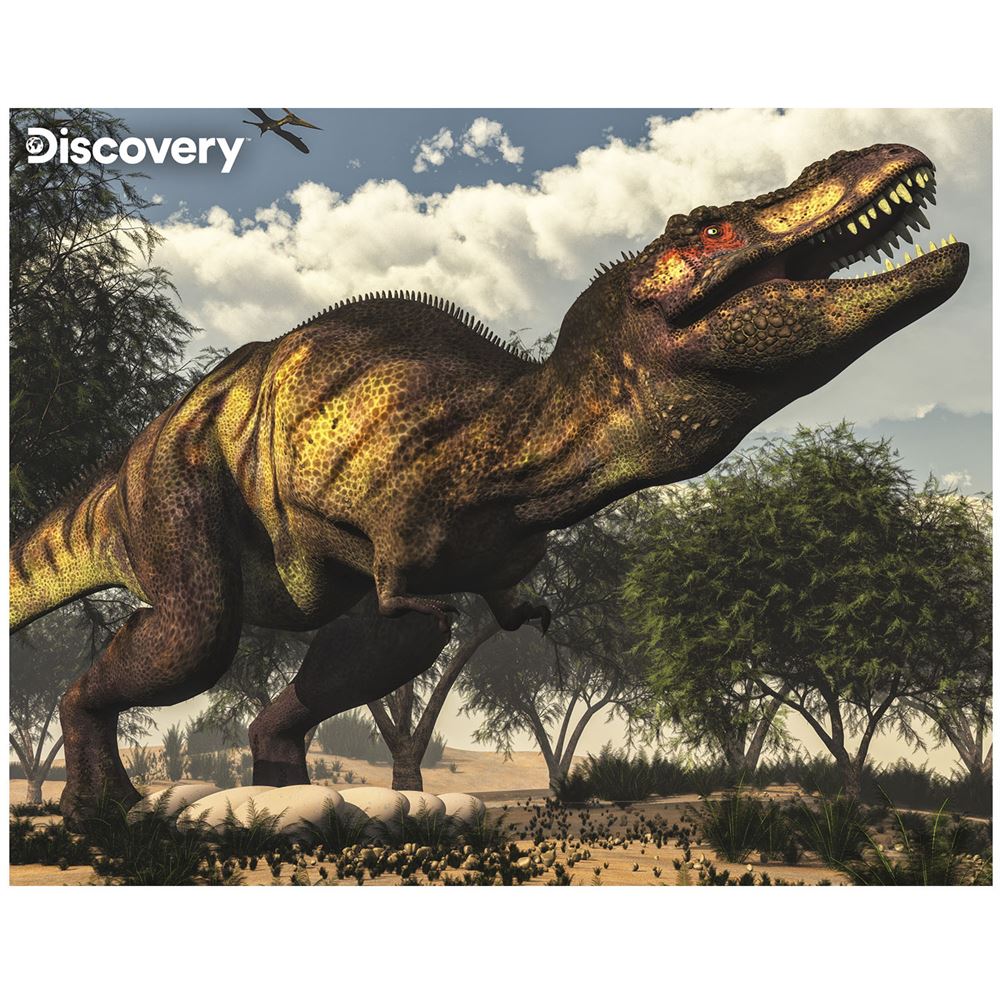 Prime 3D Discovery Tyrannosaurus Rex Puzzle 63 Parça 20925