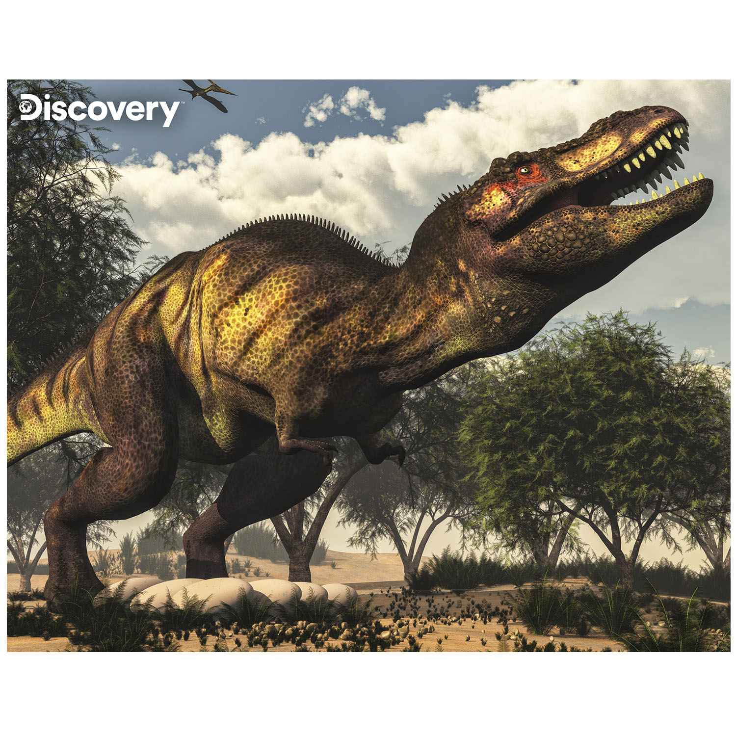 Prime 3D Discovery Tyrannosaurus Rex Puzzle 63 Parça 20925