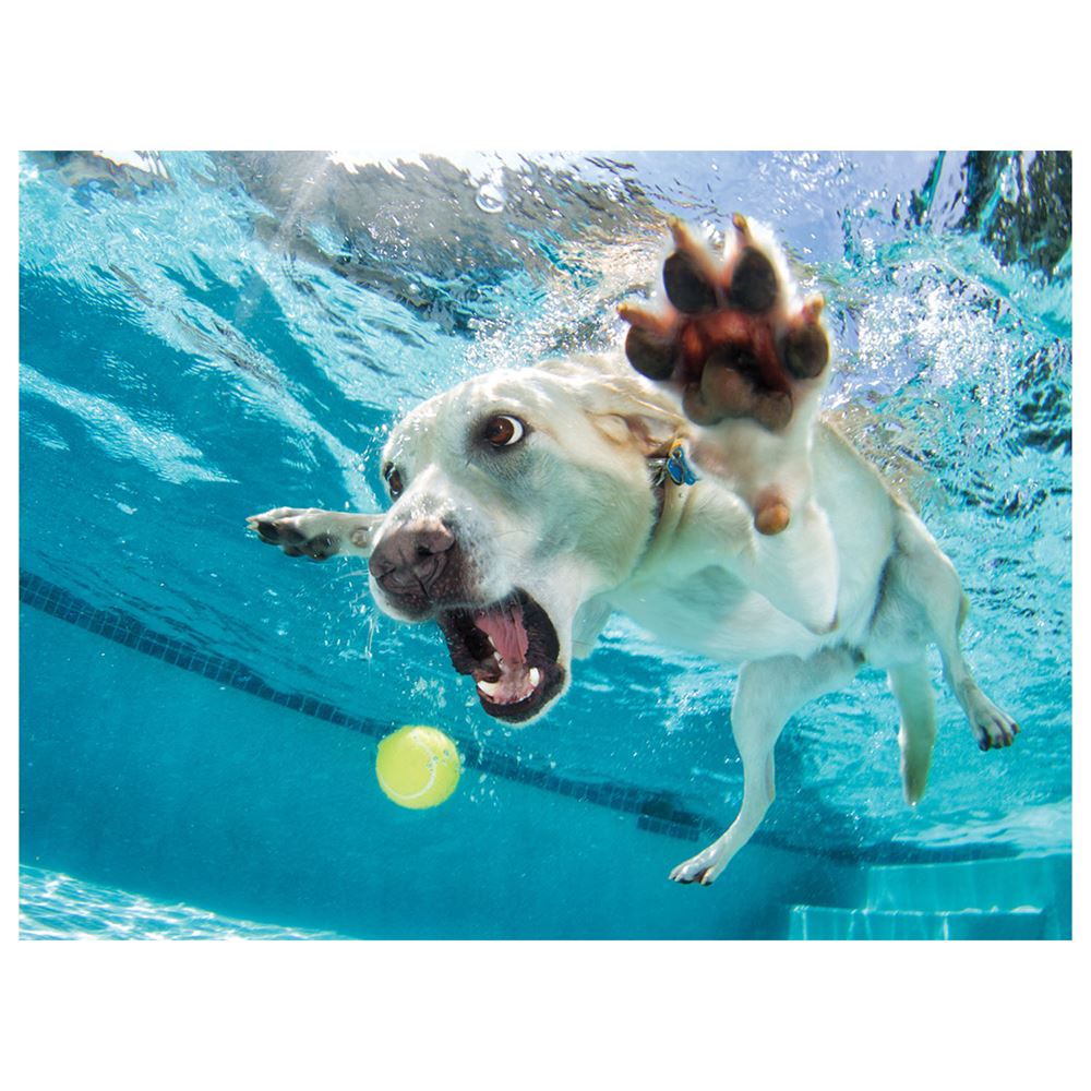 Prime 3D Su Altında Köpek Daisy Puzzle 100 Parça 20508