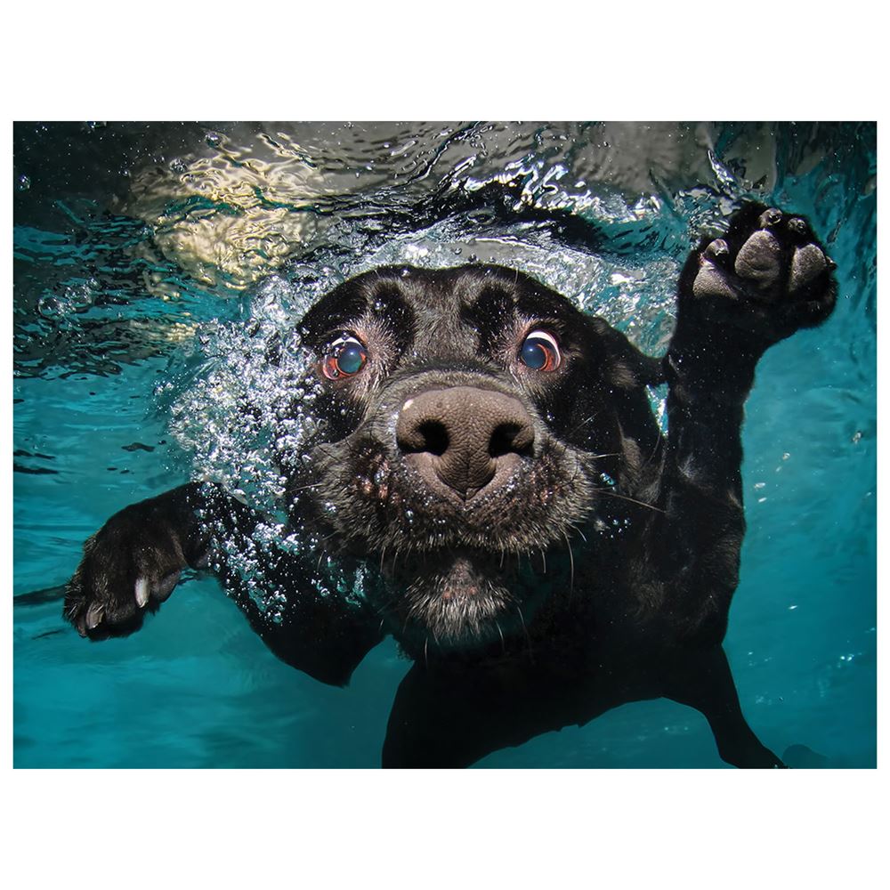 Prime 3D Su Altında Köpek Puzzle 100 Parça 20509