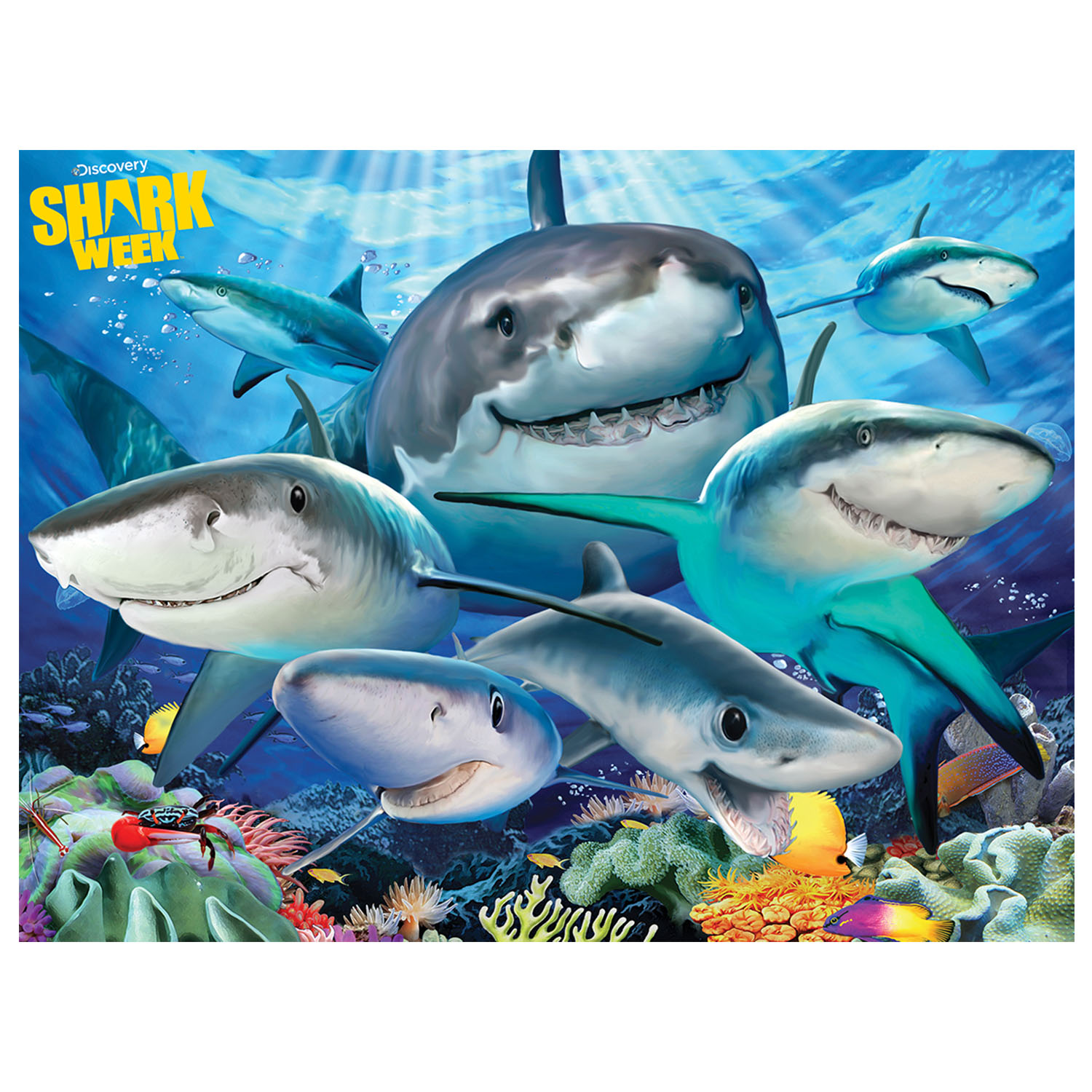 Prime 3D Discovery Köpek Balıkları Puzzle 100 Parça 10668