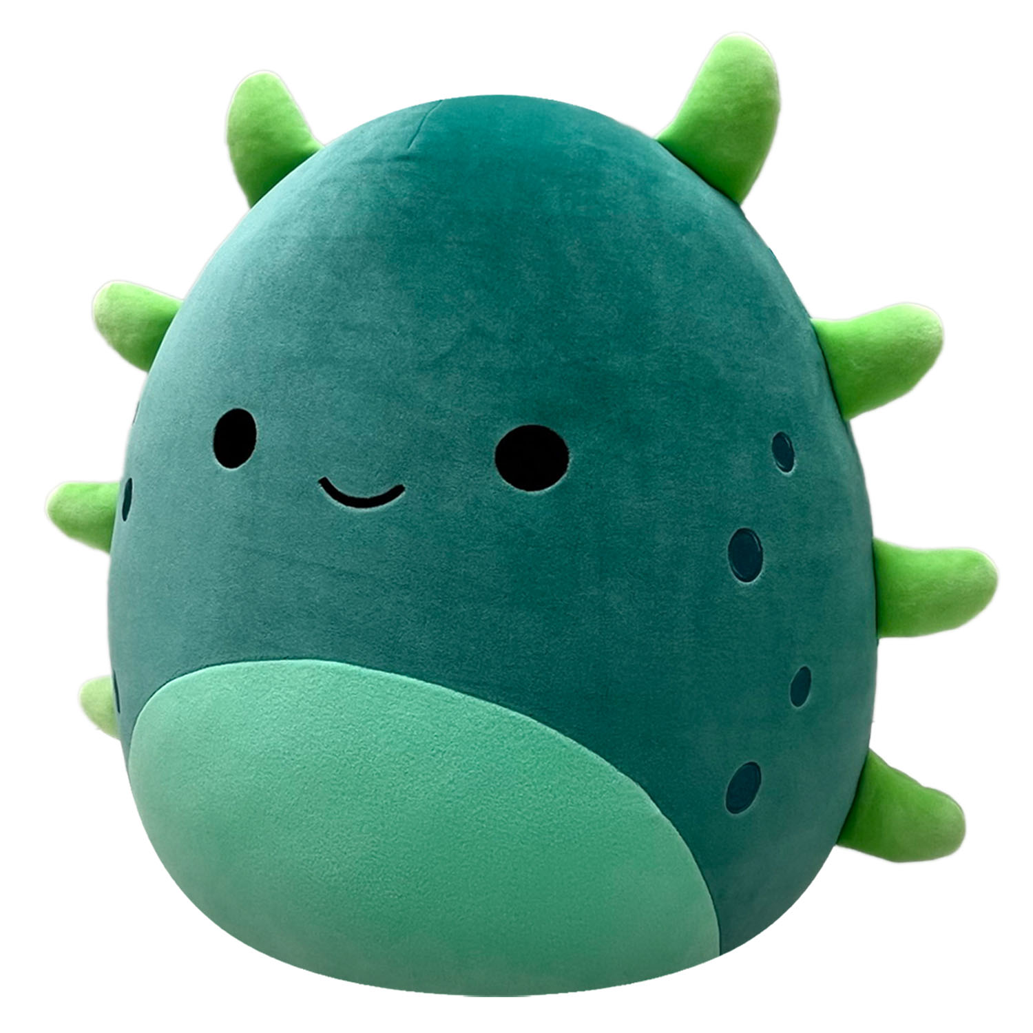 Squishmallows Deniz Hıyarı Wasabi 40 cm CR07041