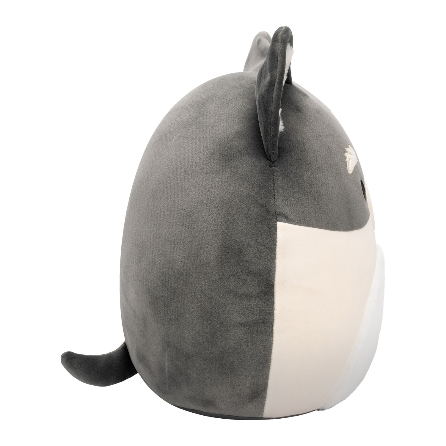 Squishmallows Pomsky Paolo 30 cm CR07961