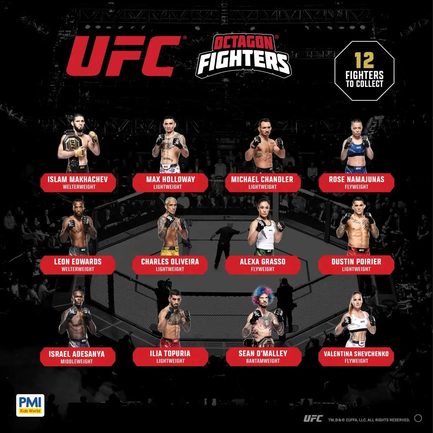 UFC Kafes Dövüşçüleri Hız Torbası Sürpriz Kapsül