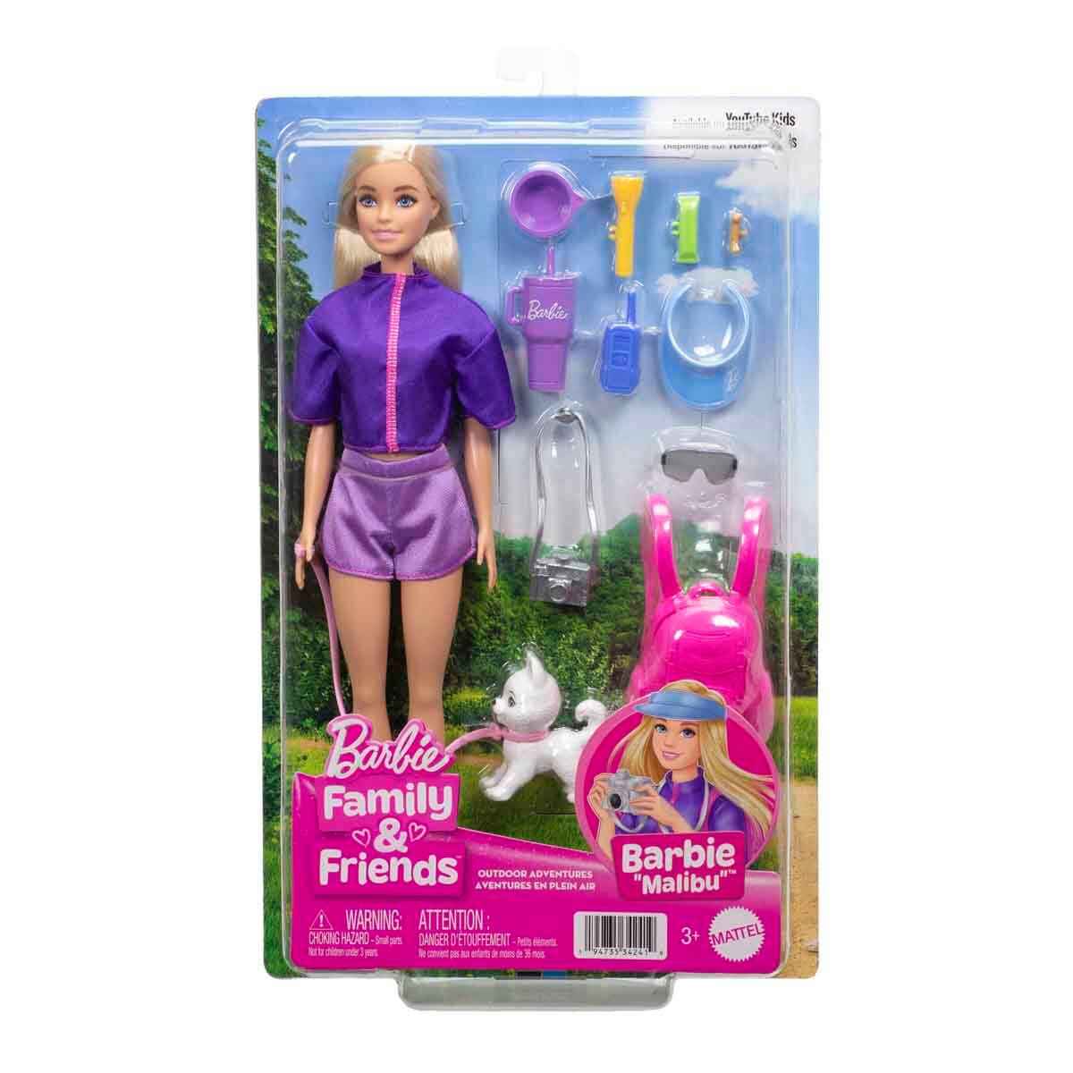 Barbie Malibu Bebek ve Aksesuar Seti JJV59