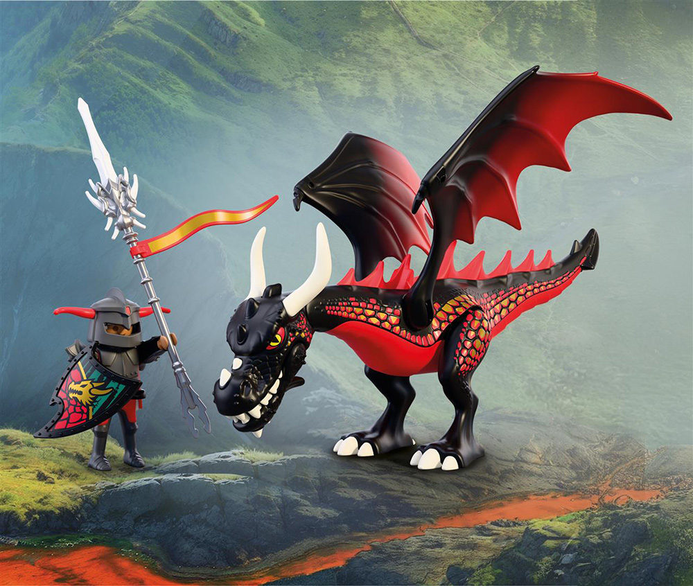 Black Dragon Knights 72114