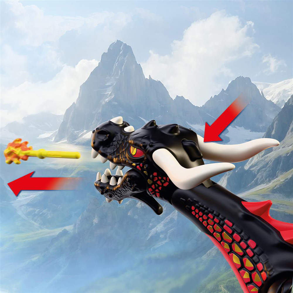 Black Dragon Knights 72114